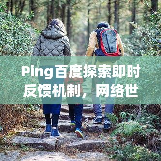 Ping百度探索即时反馈机制，网络世界的即时互动体验