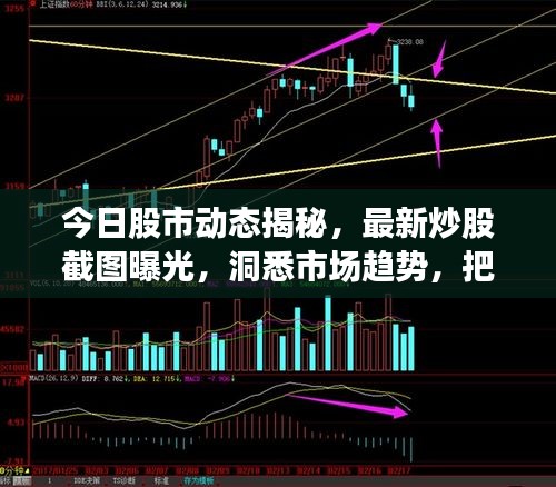 今日股市动态揭秘，最新炒股截图曝光，洞悉市场趋势，把握投资机会！