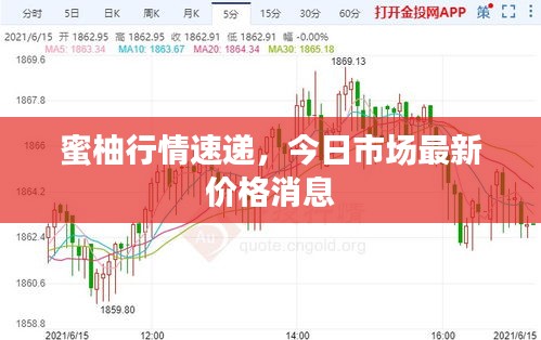 蜜柚行情速递，今日市场最新价格消息