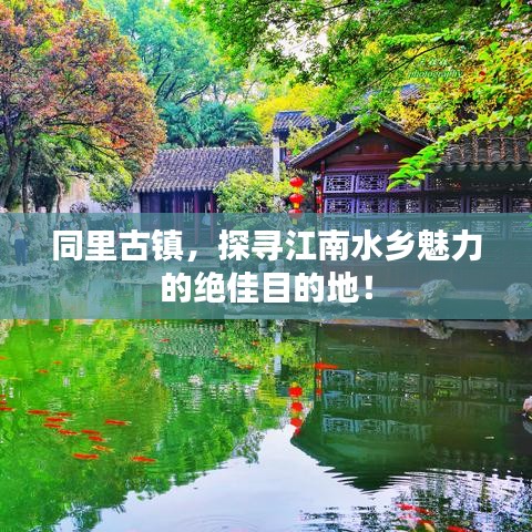 同里古镇，探寻江南水乡魅力的绝佳目的地！