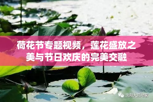 好整以暇 第2页
