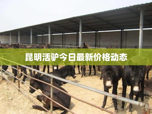 箪瓢陋巷 第2页