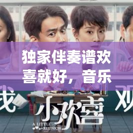 独家伴奏谱欢喜就好，音乐中的韵味与情感表达之旅