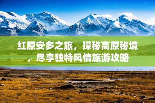 项目介绍 第62页