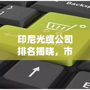 印尼光缆公司排名揭晓，市场影响力与市场份额一览