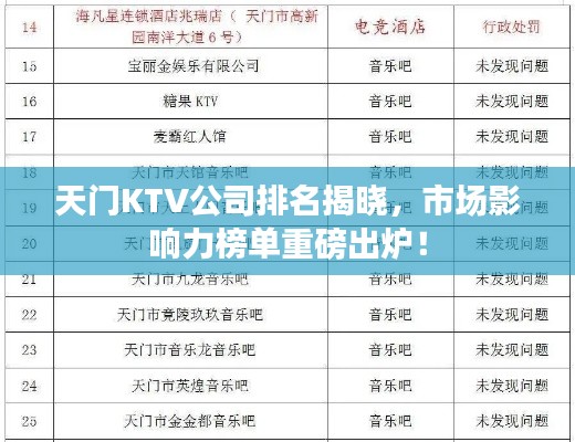 天门KTV公司排名揭晓，市场影响力榜单重磅出炉！