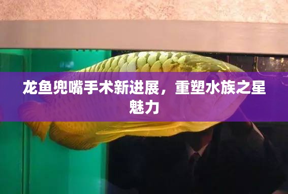 龙鱼兜嘴手术新进展，重塑水族之星魅力