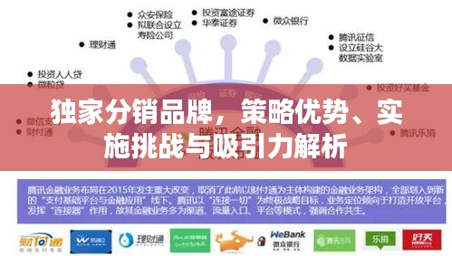 独家分销品牌，策略优势、实施挑战与吸引力解析