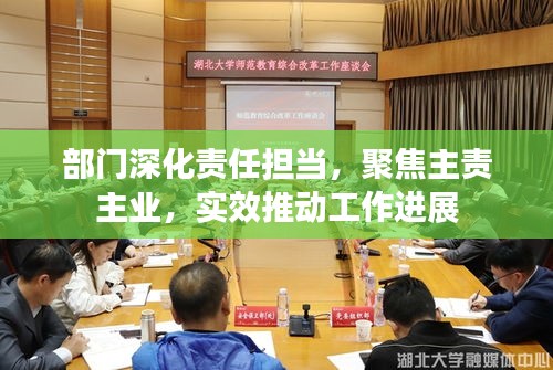 部门深化责任担当，聚焦主责主业，实效推动工作进展