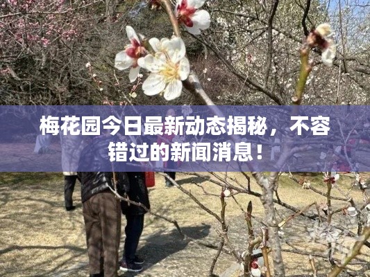 环肥燕瘦