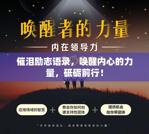 关于我们 第50页