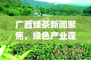 关于我们 第43页
