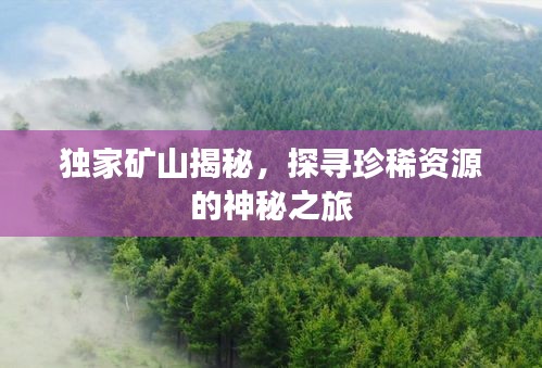 企业优势 第34页