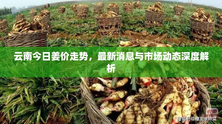 关于我们 第38页