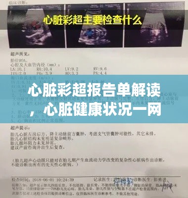 心脏彩超报告单解读，心脏健康状况一网打尽，百度助你轻松了解！