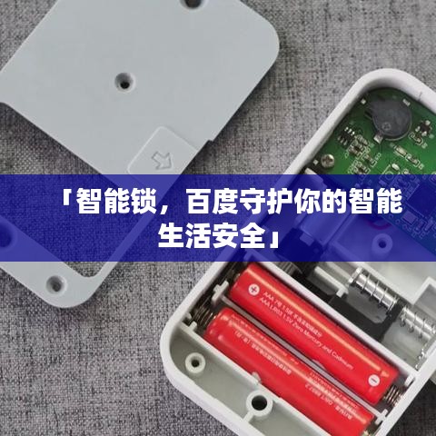 项目介绍 第20页