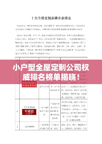 企业优势 第17页