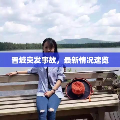项目介绍 第17页