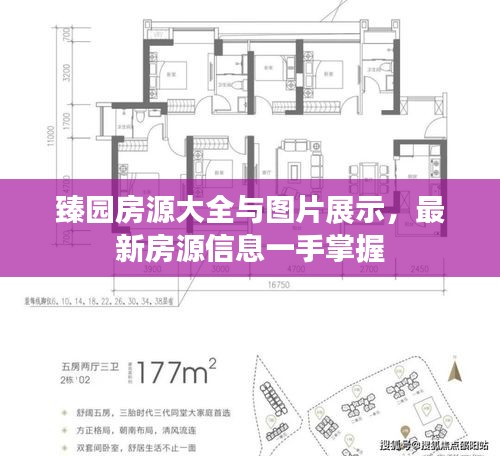 臻园房源大全与图片展示，最新房源信息一手掌握