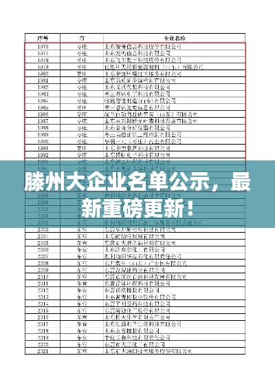 项目介绍 第15页