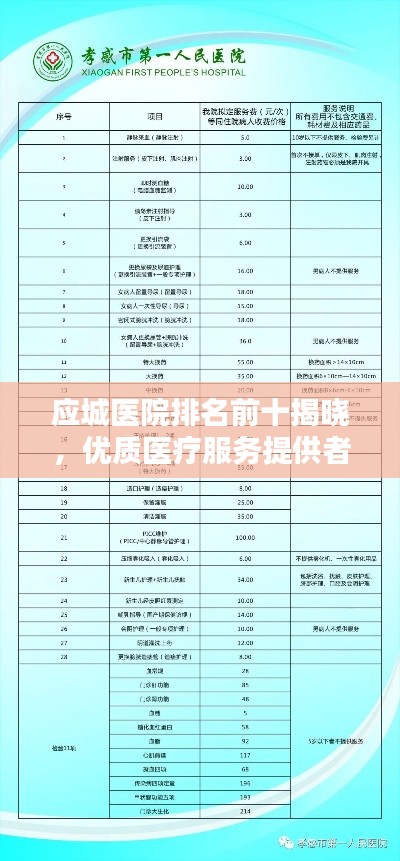 企业优势 第13页