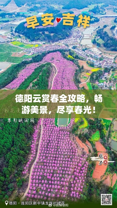 项目介绍 第12页