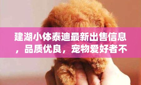 企业优势 第10页