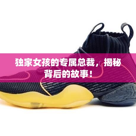 项目介绍 第9页