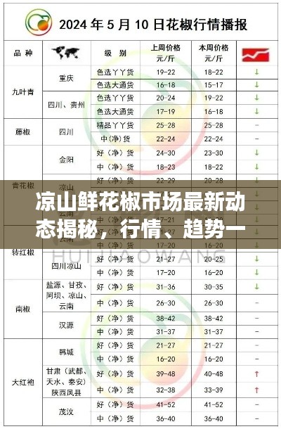 关于我们 第6页