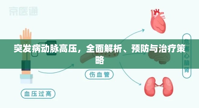 突发病动脉高压，全面解析、预防与治疗策略