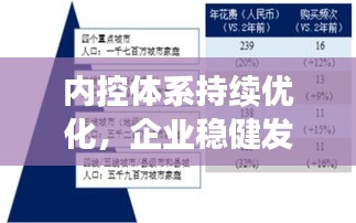 内控体系持续优化，企业稳健发展的核心驱动力