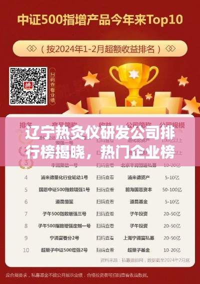 项目介绍 第4页