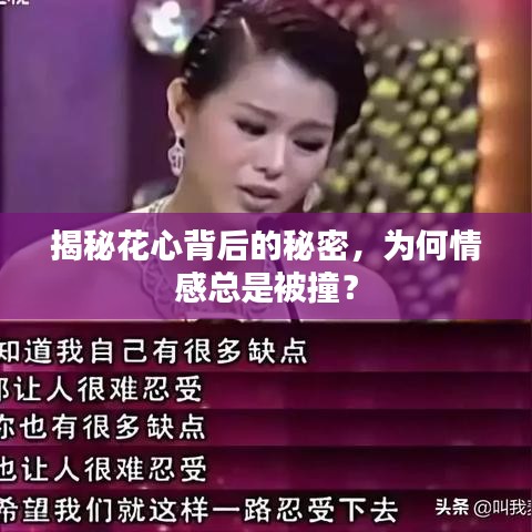 揭秘花心背后的秘密，为何情感总是被撞？