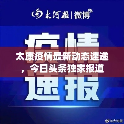 太康疫情最新动态速递，今日头条独家报道