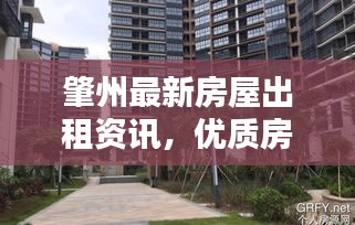 肇州最新房屋出租资讯，优质房源一览无余