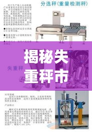 揭秘失重秤市场，厂家排名榜前十强榜单揭晓！