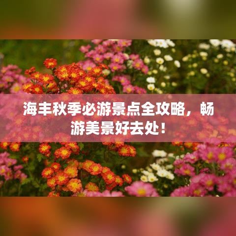 海丰秋季必游景点全攻略，畅游美景好去处！