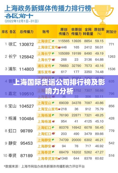 上海国际货运公司排行榜及影响力分析