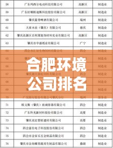 合肥环境公司排名揭晓，优质企业榜单，值得信赖的专业服务！