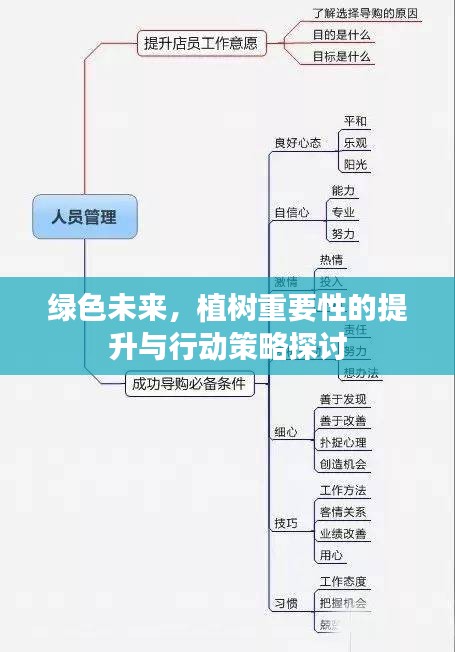 绿色未来，植树重要性的提升与行动策略探讨