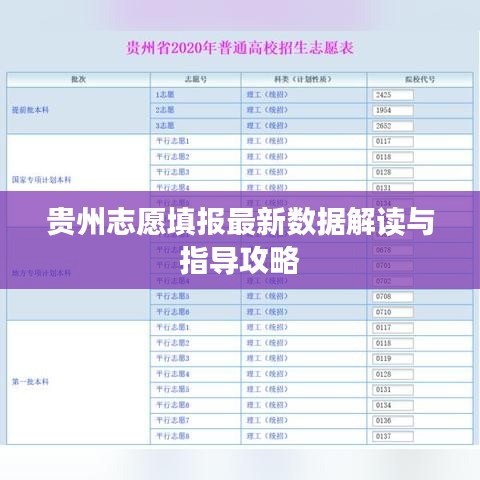 贵州志愿填报最新数据解读与指导攻略