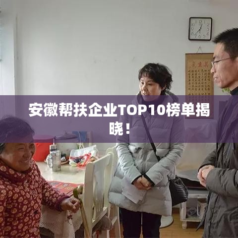 安徽帮扶企业TOP10榜单揭晓！