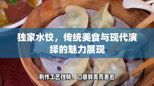 独家水饺，传统美食与现代演绎的魅力展现