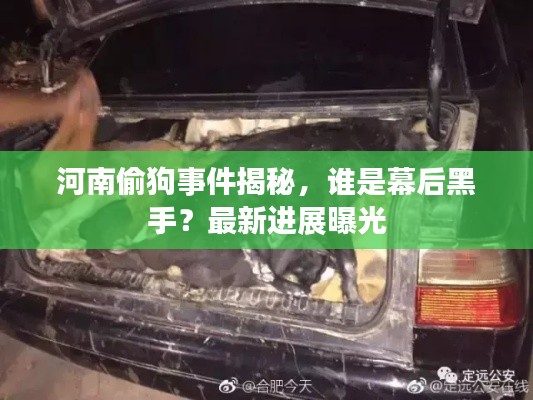 企业优势 第6页