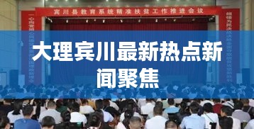 大理宾川最新热点新闻聚焦