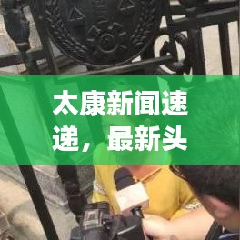 太康新闻速递，最新头条报道来袭！
