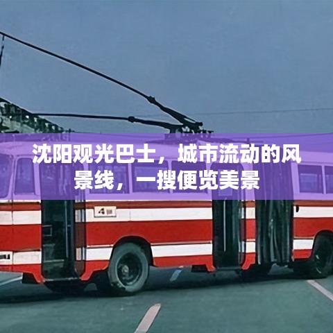 沈阳观光巴士，城市流动的风景线，一搜便览美景